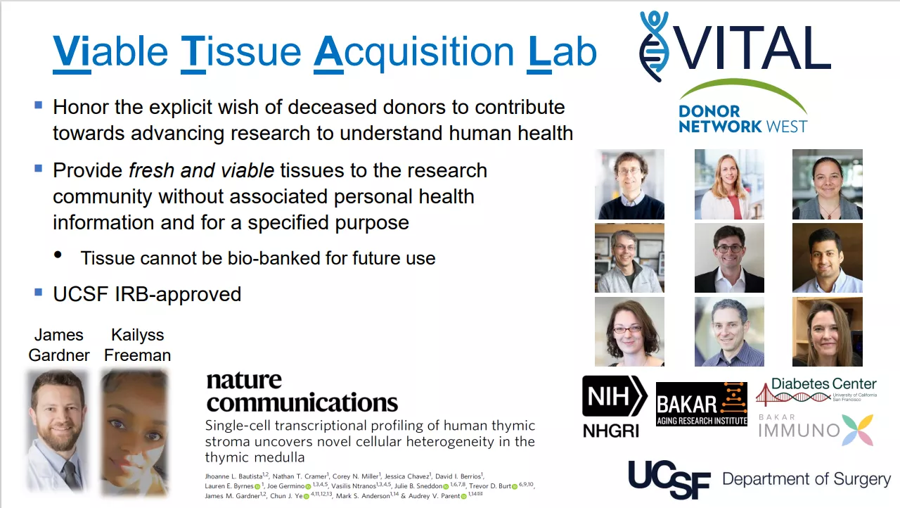 Vital Tissue Acquisitions Announcement