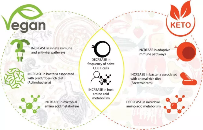 vegan vs ketogenic on human immunity and microbiome